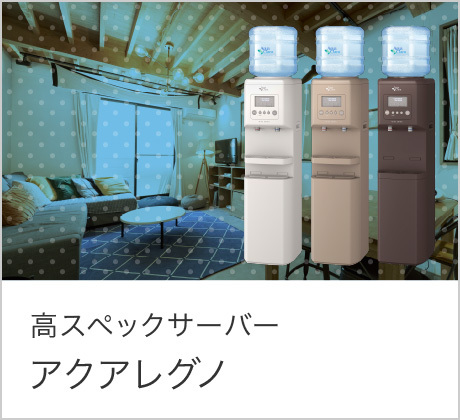高スペックサーバー アクアレグノ