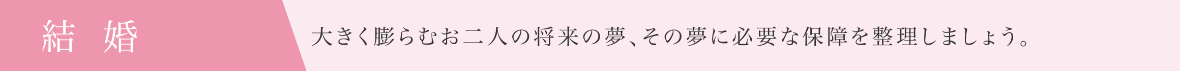 結婚
大きく膨らむお二人の将来の夢、その夢に必要な保障を整理しましょう。