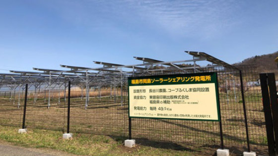 福島市岡島ソーラーシェアリング発電所