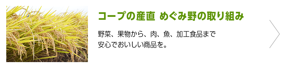 野菜、果物から、肉、魚、加工食品まで安心でおいしい商品を。 生協の商品ページへ