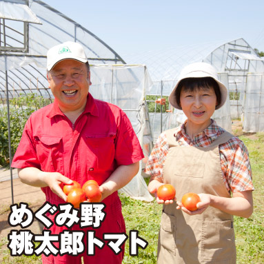 めぐみ野 桃太郎トマト
