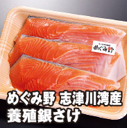めぐみ野 志津川湾産 養殖銀さけ