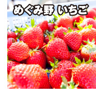 めぐみ野いちご