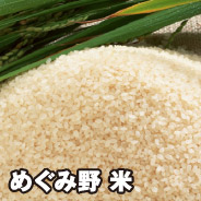 めぐみ野 米