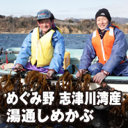 めぐみ野 志津川湾産 湯通しめかぶ