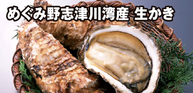 志津川湾産 生かき