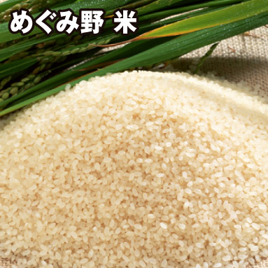 めぐみ野 米