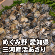 めぐみ野 愛知県三河産 あさり