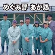めぐみ野 あか鶏