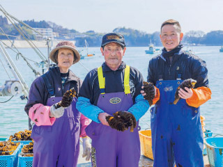 爽やかな磯の香りと豊かな風味
「めぐみ野」福島県相馬松川浦産 乾燥あおさのり