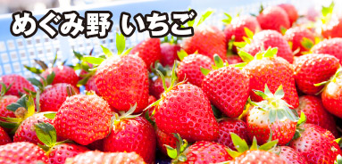 めぐみ野 いちご
