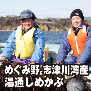 めぐみ野 志津川湾産 湯通しめかぶ