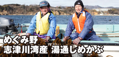 めぐみ野 志津川湾産 湯通しめかぶ