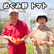 めぐみ野 きゅうり