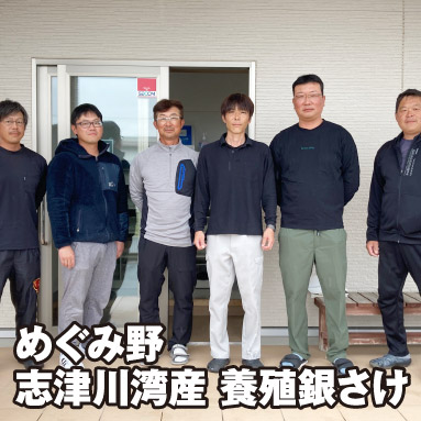 めぐみ野 志津川湾産 養殖銀さけ
