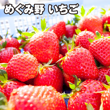 めぐみ野 いちご