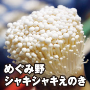 めぐみ野 シャキシャキえのき