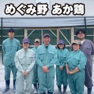 めぐみ野 あか鶏