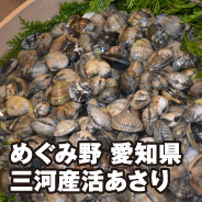 めぐみ野 愛知県 三河産活あさり