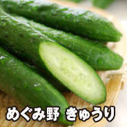 めぐみ野 きゅうり