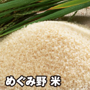 めぐみ野 米