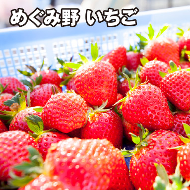 めぐみ野 いちご
