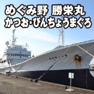 めぐみ野 勝栄丸 かつお・びんちょうまぐろ