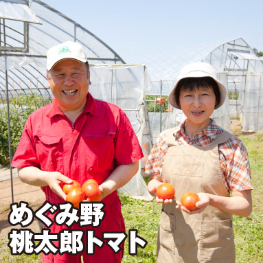 めぐみ野 桃太郎トマト