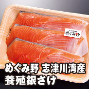 めぐみ野 志津川湾産 養殖銀さけ