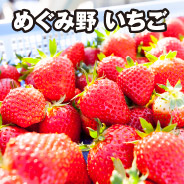 めぐみ野いちご