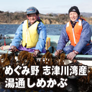 めぐみ野 志津川湾産 湯通しめかぶ