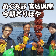 めぐみ野 宮城県産 今朝どりほや