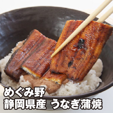 めぐみ野 静岡県産 うなぎ蒲焼