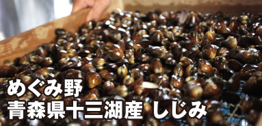 めぐみ野 青森県十三湖産 しじみ