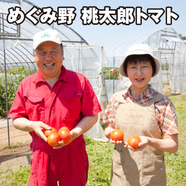 めぐみ野 桃太郎トマト