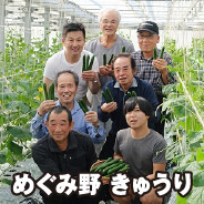 めぐみ野きゅうり