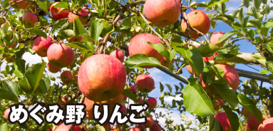 めぐみ野 りんご