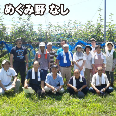 めぐみ野 なし