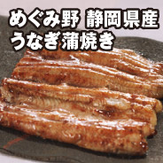 めぐみ野 静岡県産  うなぎ蒲焼き