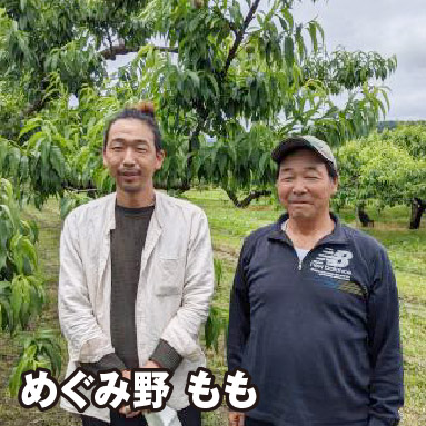 めぐみ野 もも