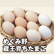 めぐみ野 蔵王育ちたまご