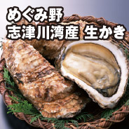 めぐみ野 志津川湾産 生かき