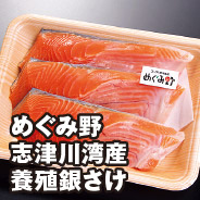 めぐみ野 志津川湾産 養殖銀さけ