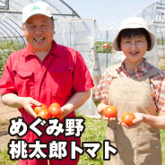 めぐみ野 桃太郎トマト