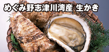 志津川湾産 生かき