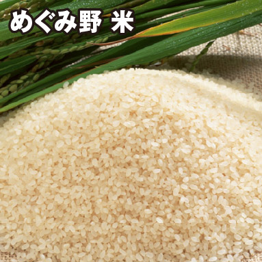 めぐみ野 米