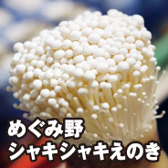 めぐみ野 シャキシャキえのき