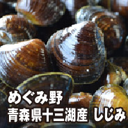 めぐみ野 青森県十三湖産 しじみ