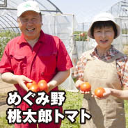 めぐみ野 桃太郎トマト