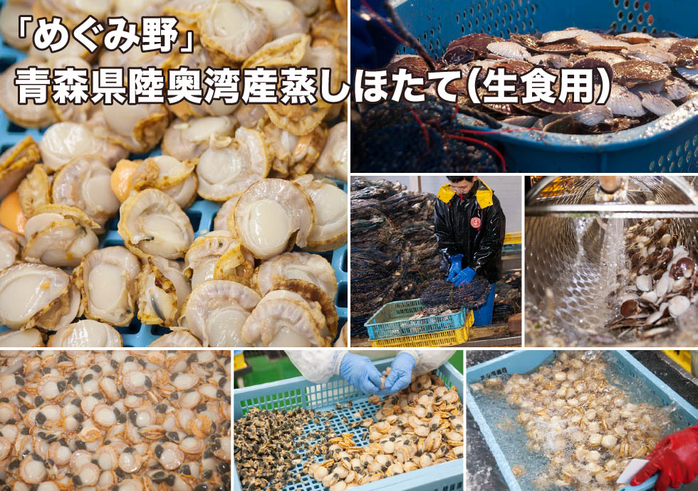 「めぐみ野」青森県陸奥湾産蒸しほたて（生食用）